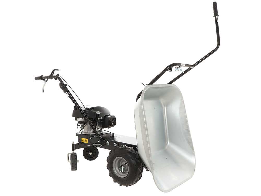 Motorkruiwagen laadvermogen 100 kg Eurosystems Carry, motor Honda GCVx 170, detail 12