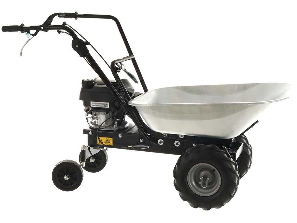 Motorkruiwagen laadvermogen 100 kg Eurosystems Carry, motor Honda GCVx 170, detail 13