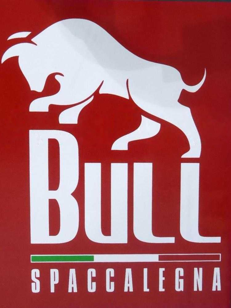 Ceccato Olindo BULL SPLT13.11 13 aftakas houtklover, 13 ton, verticaal, slag 1100 mm, detail 16