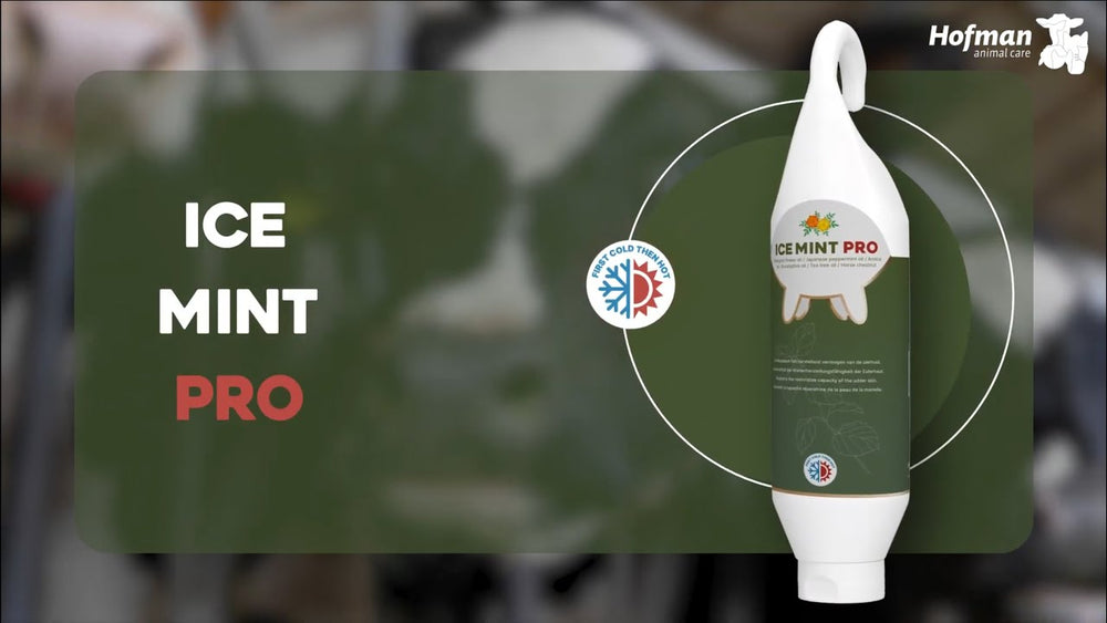 Ice Mint Pro Gel Sta- / Hangtube 500 ml