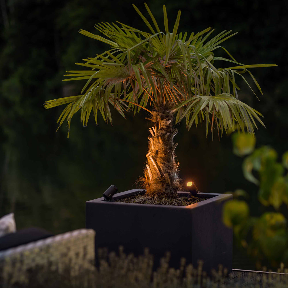Castor Smart Tuinspot 12 Volt - aanzicht 2