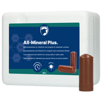 Excellent All-Mineral Plus 20 st