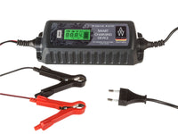 Auto Welle AW05-1204 automatische acculader | Rabe