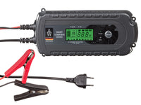 Auto Welle AW05-1208 automatische acculader | Rabe