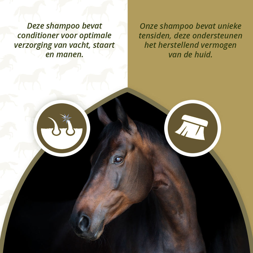 Excellent Horse Hi Gloss Shampoo Rose 500 ml