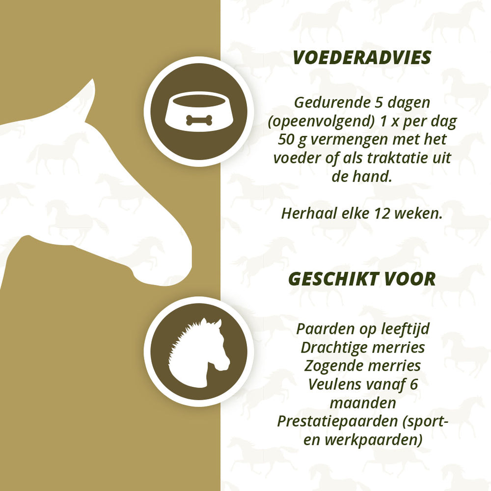 Excellent Horse Parex 1,5 kg