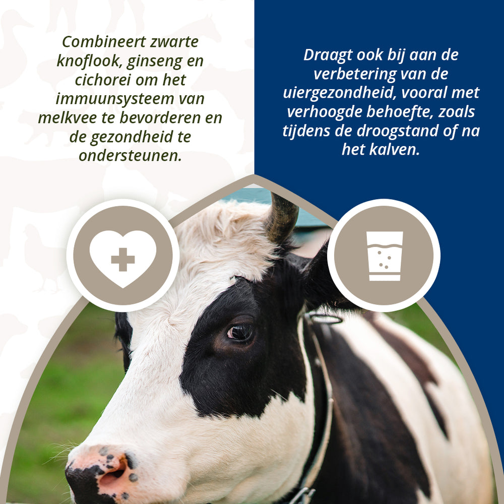 Direct Udder Support 4 x 60 g