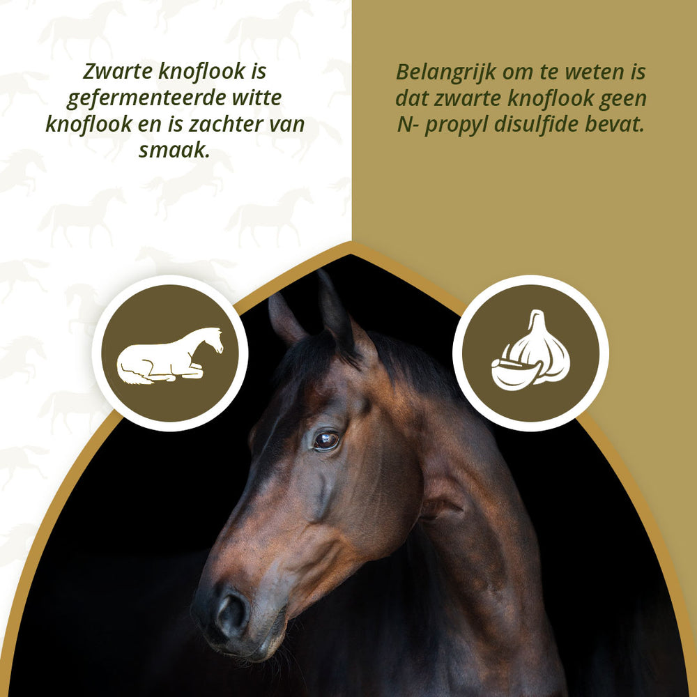 Excellent Horse Herbs Zwarte Knoflook 450 g