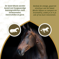 Excellent Horse Sweet Blocks Herbs 1 kg