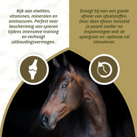 Excellent Horse Turbo 1 kg