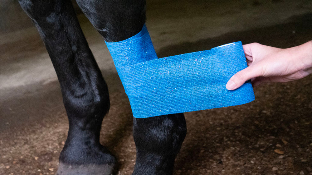 Excellent Animal Glitter Bandage Profi 10 cm - Blauw