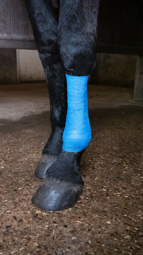 Excellent Animal Glitter Bandage Profi 10 cm - Blauw