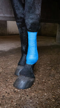 Excellent Animal Glitter Bandage Profi 10 cm - Blauw