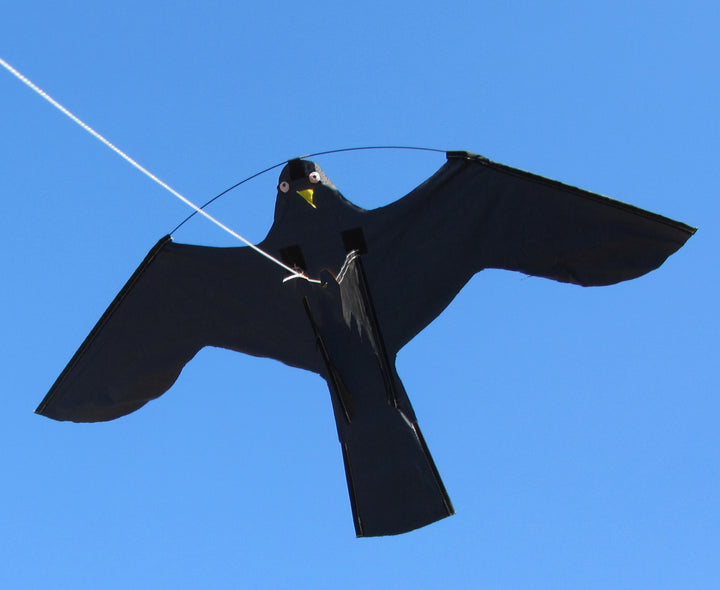 
  Birdshield Set - artikelnummer BIRD007
