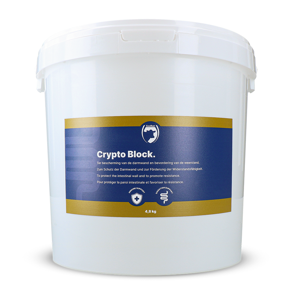 Excellent Crypto Block 4,8 kg