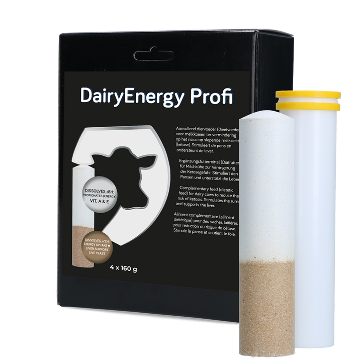 
  Dairy Energy Bolus 4 x 160 g - artikelnummer DAIR005
