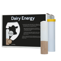Dairy Energy Bolus 24 x 160 g