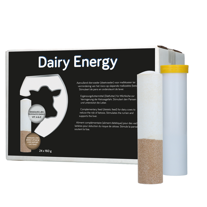 
  Dairy Energy Bolus 24 x 160 g - artikelnummer DAIR006
