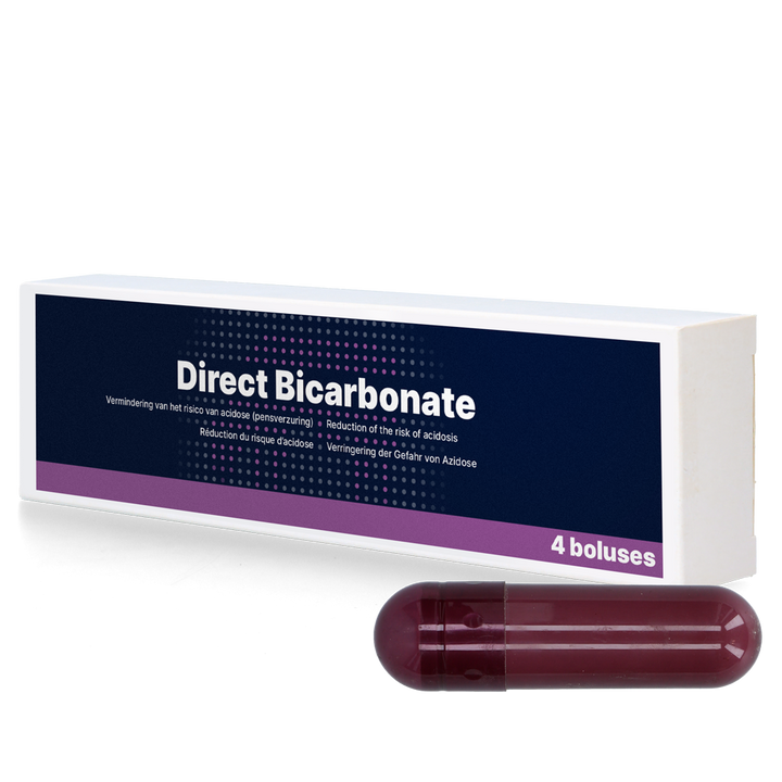
  Direct Bicarbonate 4 x 116 g - artikelnummer DIRE008
