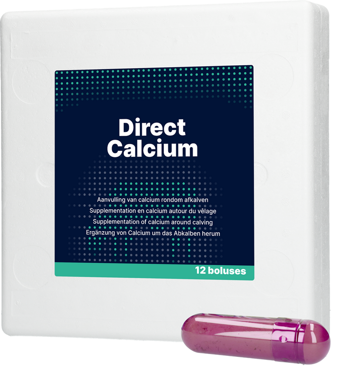 
  Direct Calcium 12 x 94 g - artikelnummer DIRE013
