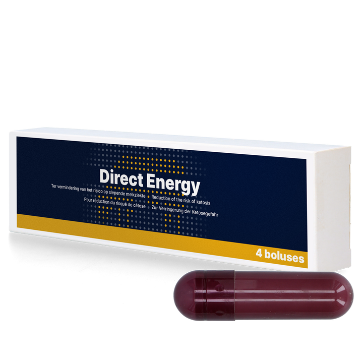 
  Direct Energy 4 x 67 g - artikelnummer DIRE014
