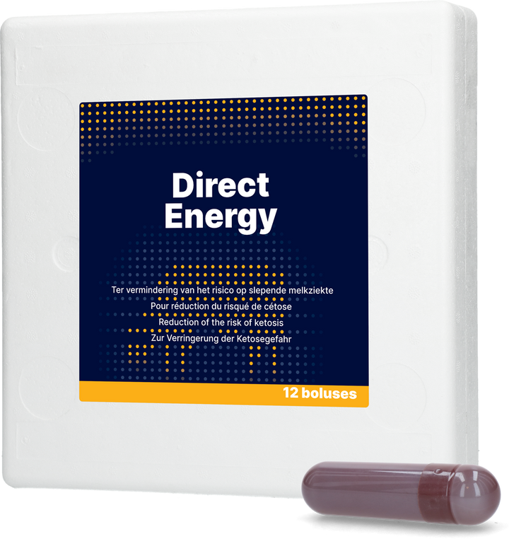 
  Direct Energy 12 x 67 g - artikelnummer DIRE015
