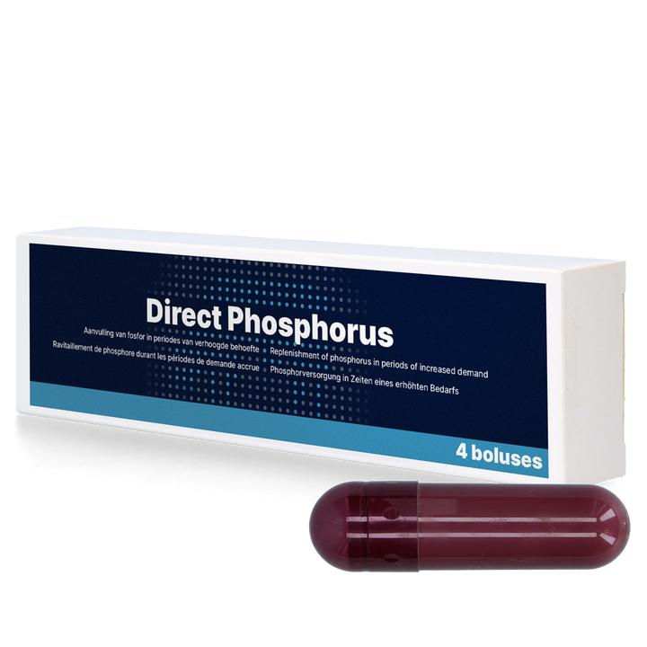 
  Direct Phosphorus 4 x 123 g - artikelnummer DIRE016
