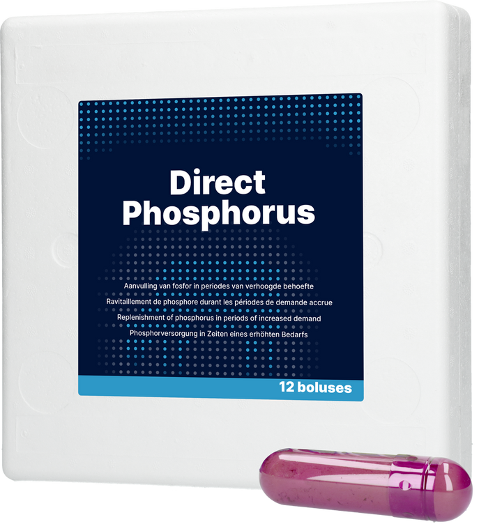 
  Direct Phosphorus 12 x 123 g - artikelnummer DIRE017
