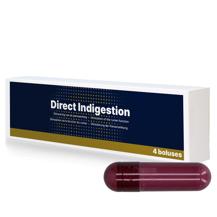 
  Direct Indigestion 4 x 76 g - Artikelnummer DIRE018
