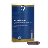Excellent Euro-Vital Bolus 24 x 10 g