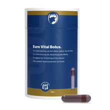 Excellent Euro-Vital Bolus 24 x 10 g