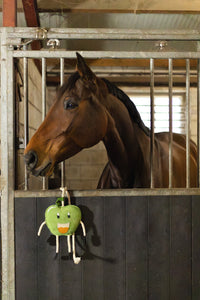 Excellent Horse Foodie Friends Apple