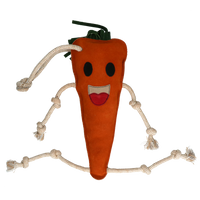 Excellent Horse Foodie Friends Carrot