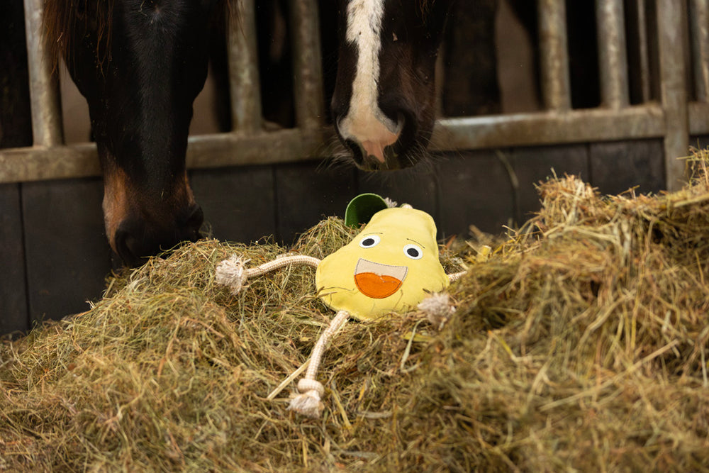 Excellent Horse Foodie Friends Pear