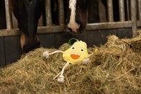 Excellent Horse Foodie Friends Pear