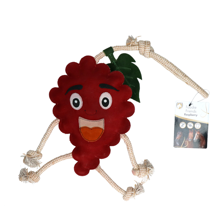 
  Excellent Horse Foodie Friends Raspberry - artikelnummer EXCE01050E
