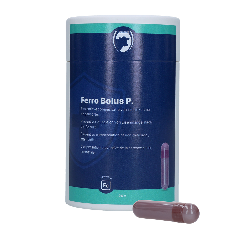 Excellent Ferro Bolus P 24 x 8,5 g