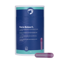 Excellent Ferro Bolus C 24 x 9,5 g