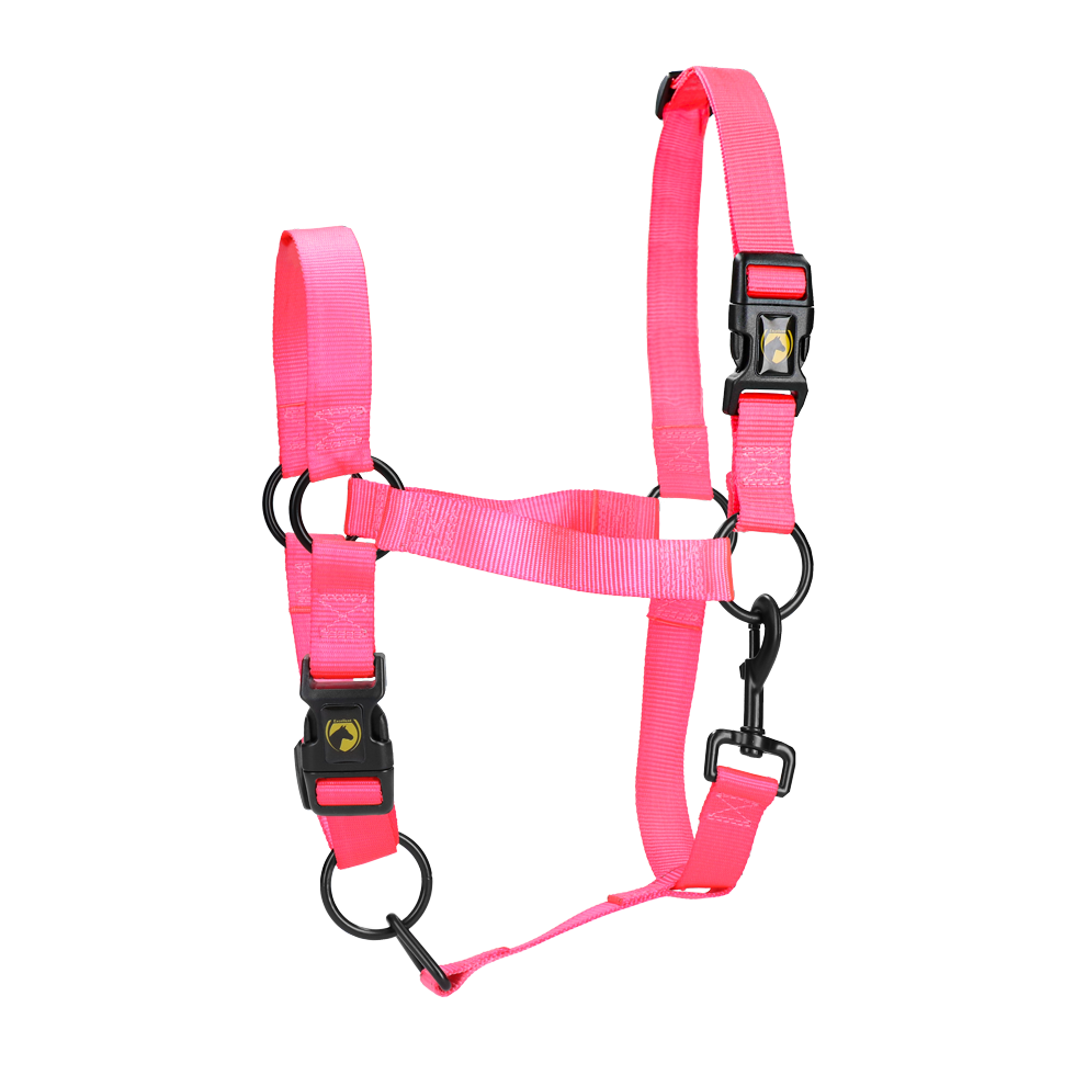 Excellent Essential Halster M Roze