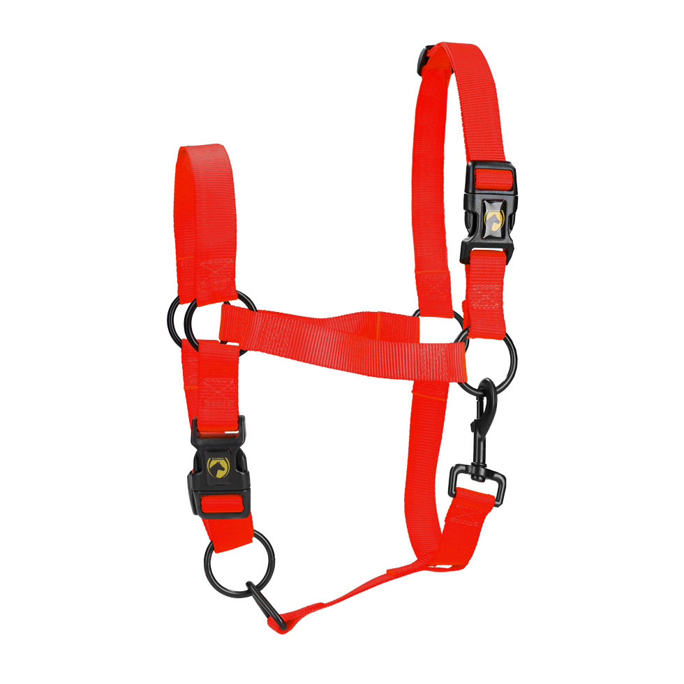 Excellent Essential Halster L Rood
