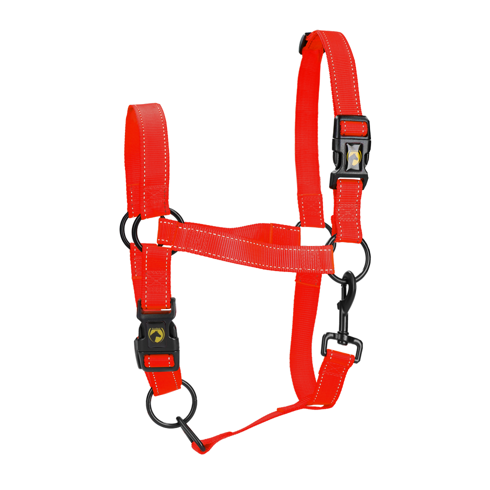 Excellent Premium Halster L Rood