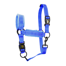 Excellent Superior Halster XS