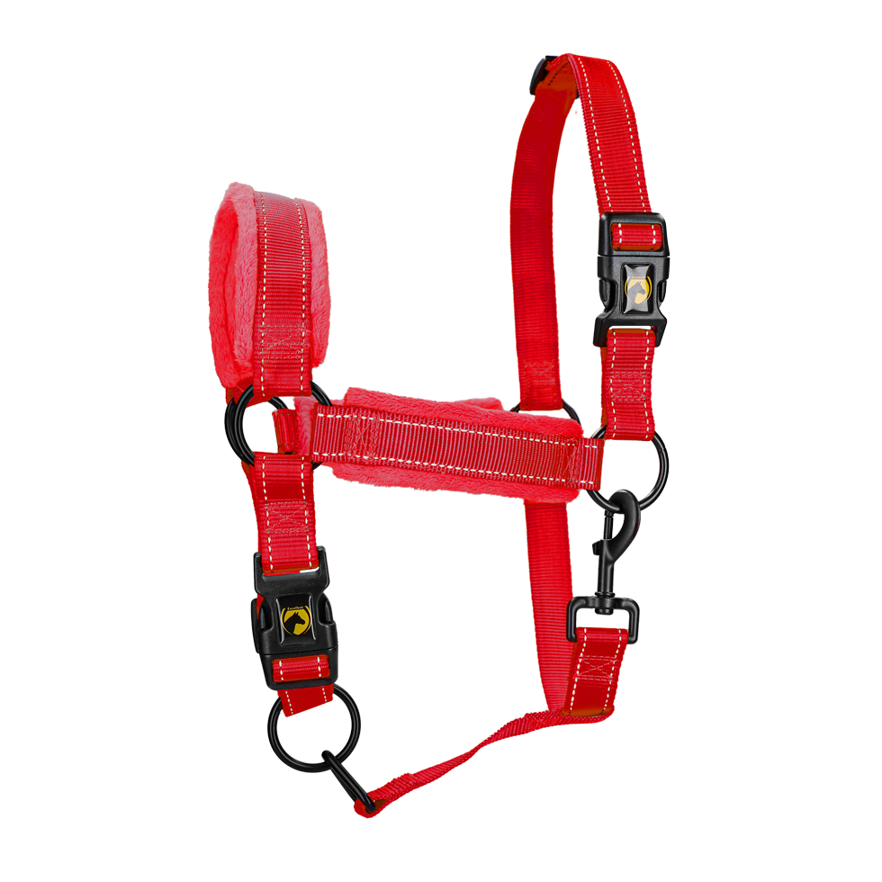 Excellent Superior Halster M Rood