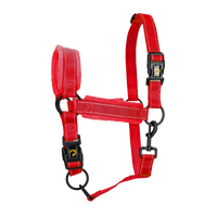 Excellent Superior Halster M Rood
