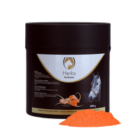 Excellent Horse Herbs Kurkuma 500 g
