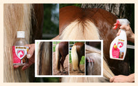 Excellent Horse Hi Gloss Spray 500 ml