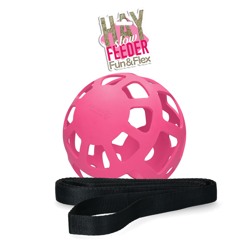 Hay Slow Feeder Fun & Flex Roze