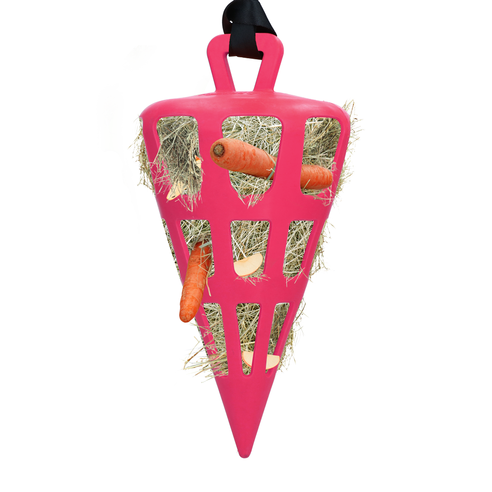 Hay Slow Feeder Fun & Flex Car Rot roze