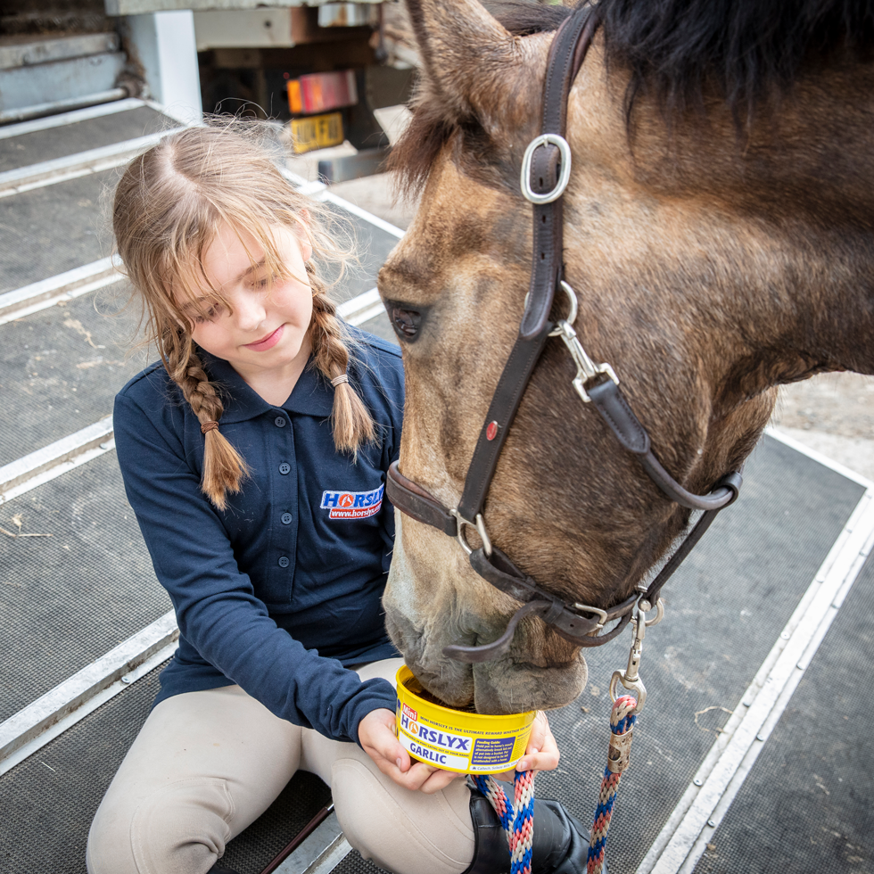 Horslyx Mini Knoflook