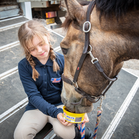 Horslyx Mini Knoflook